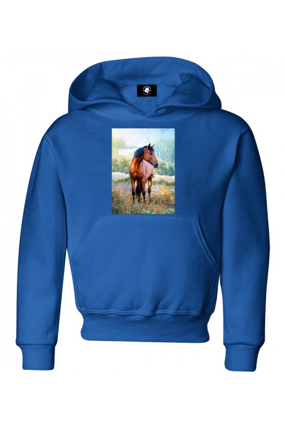 Bluza dziecięca Koń na łące