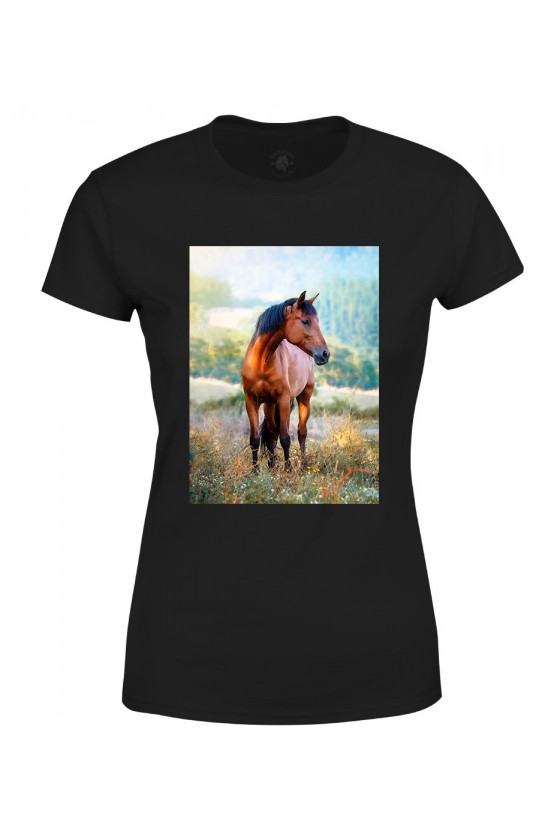 Koszulka damska Koń na łące
